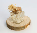 Gelkerze Gastgeschenk - Muschel